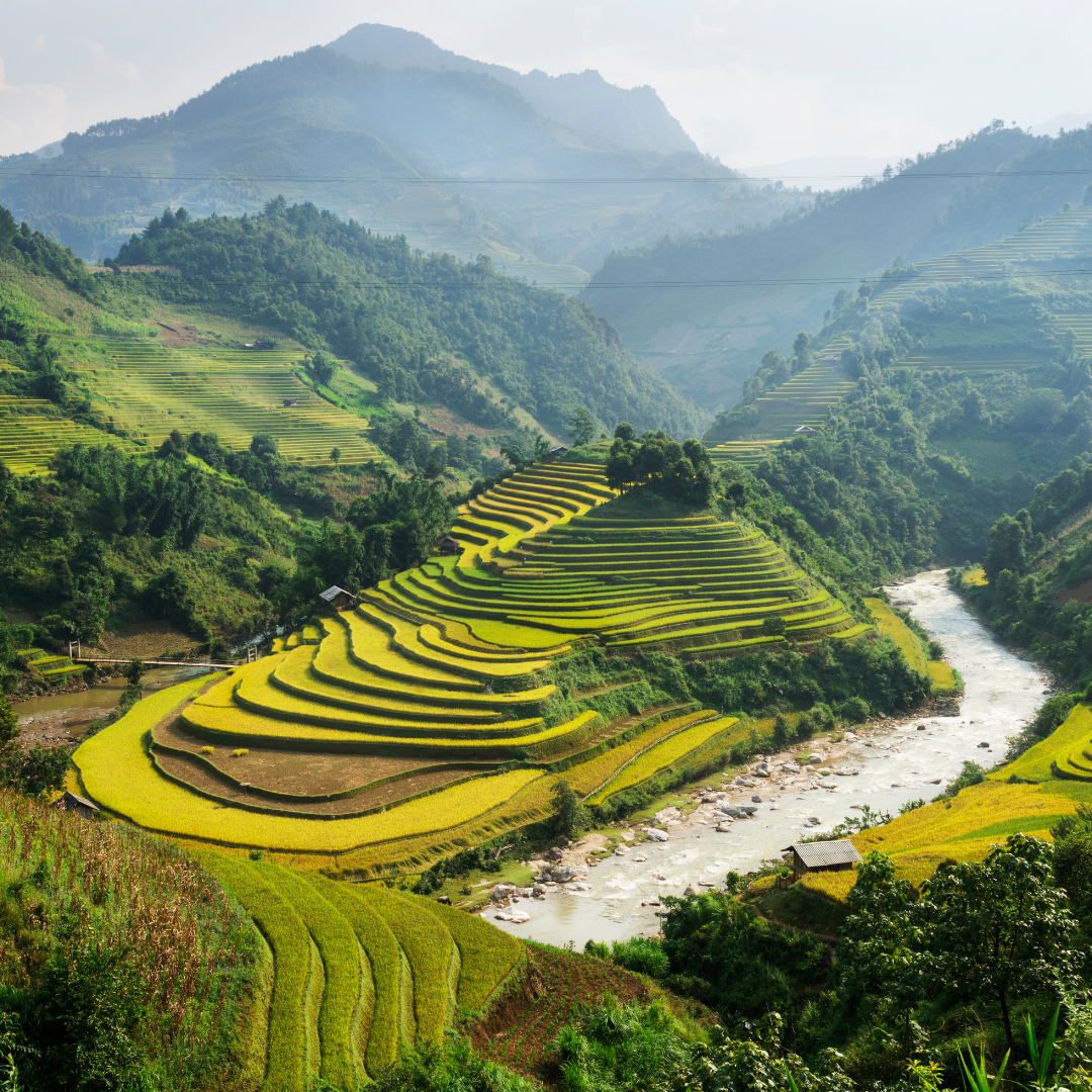 Voyage au Vietnam