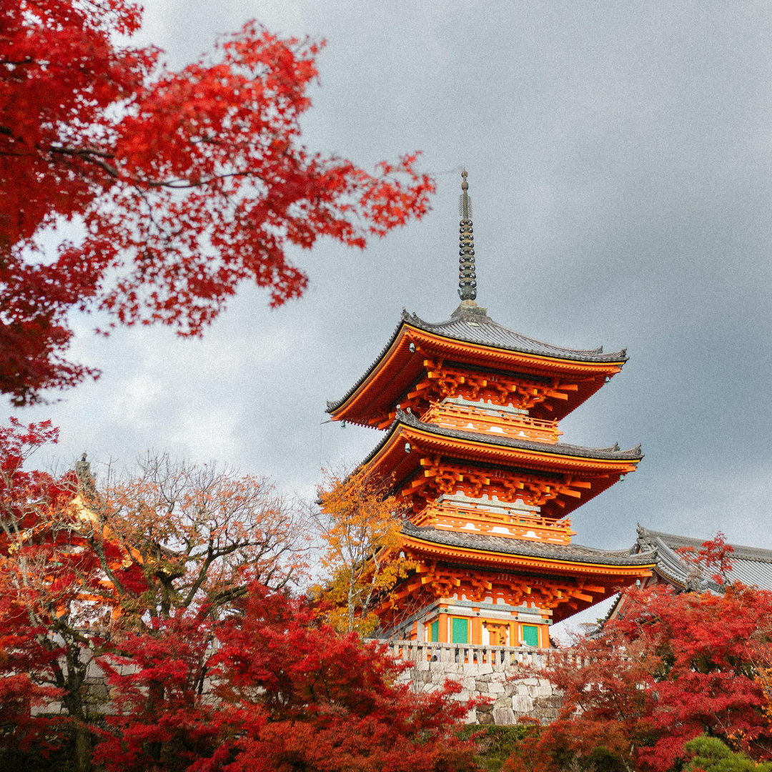 Voyage au Japon